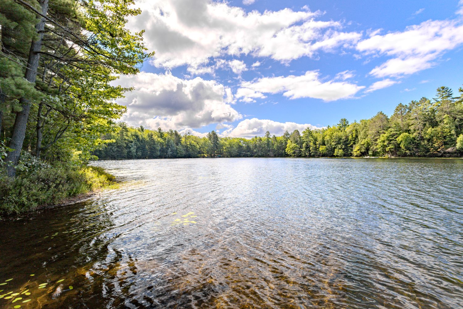 The far side of the lake from the shore